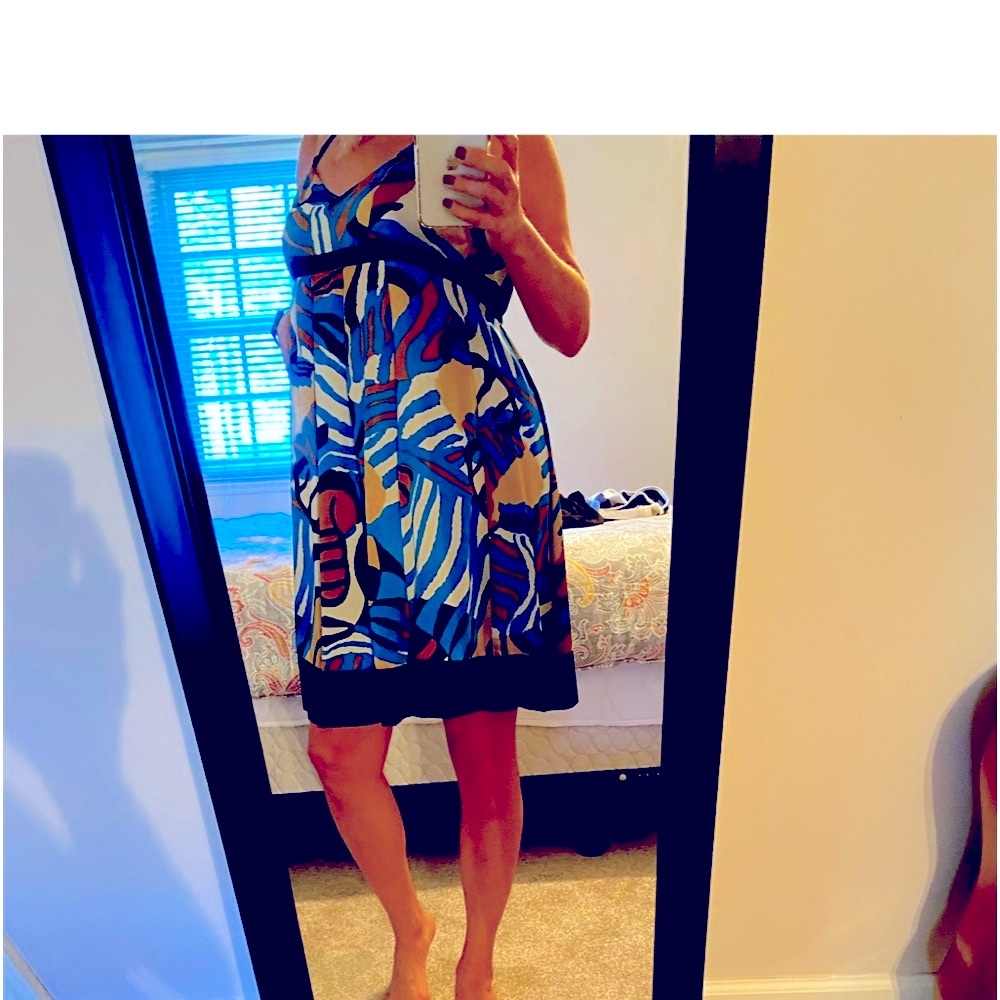 TIBI Empire Waist Gorgeous Color Way Print Dress